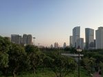 高楼大厦