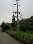 电线杆
