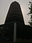 塔