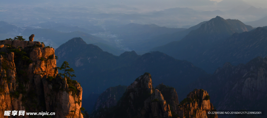 黄山石猴迎朝阳宽景照片