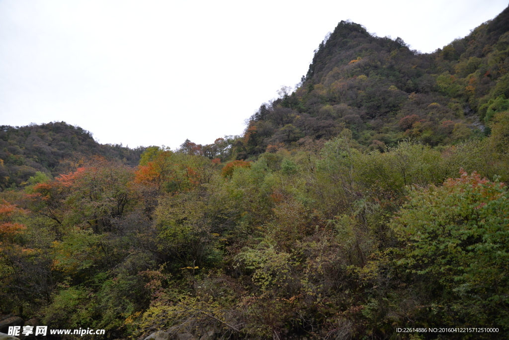 秦岭风光