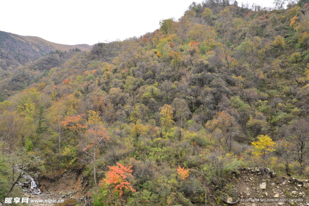 秦岭风光