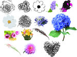 线描花