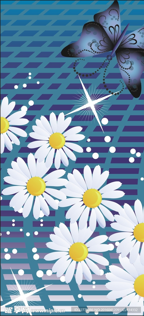 菊花 蝴蝶