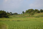 乡村景观