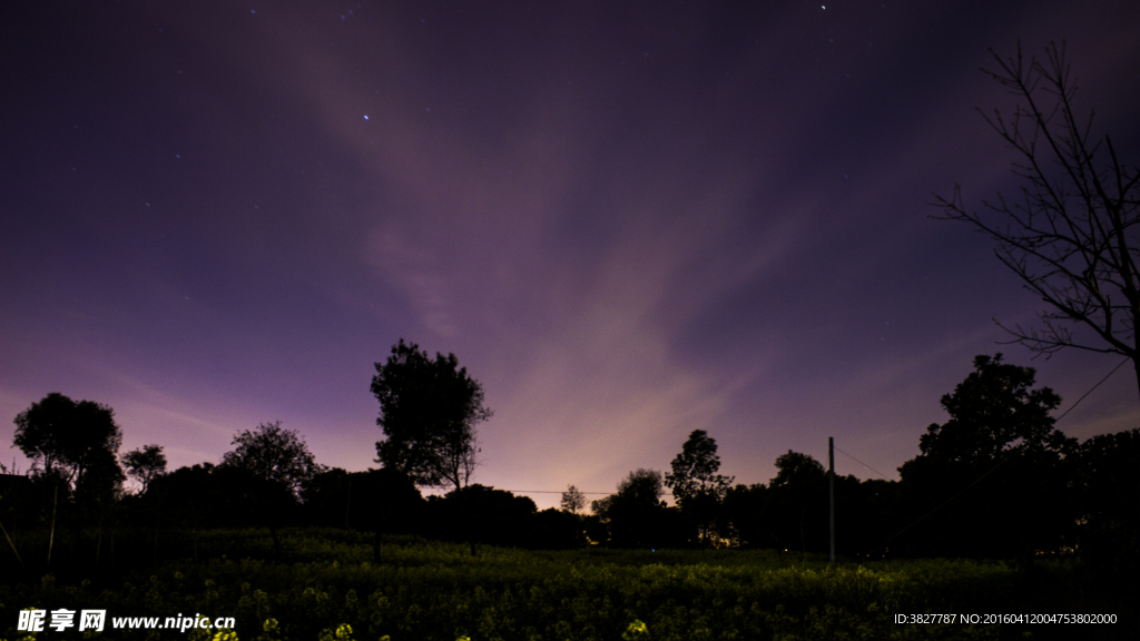 春色夜景