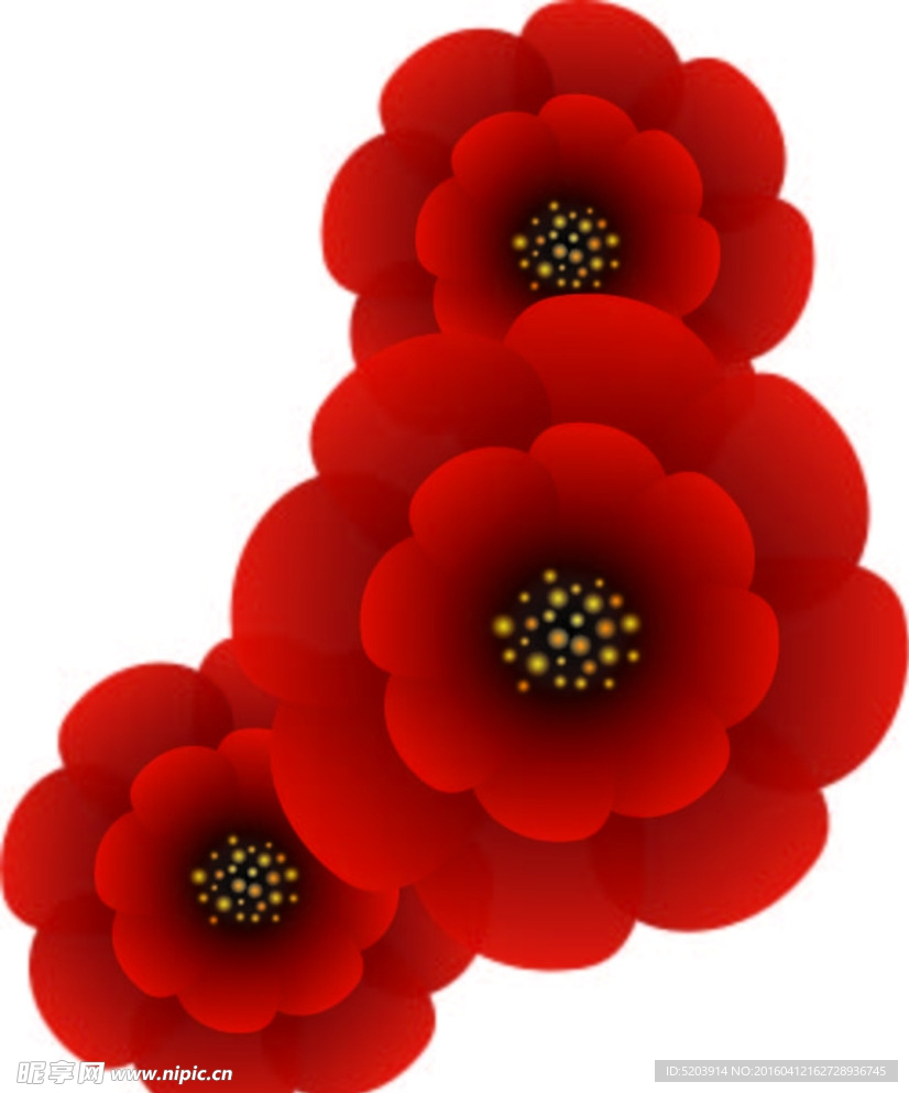 花朵