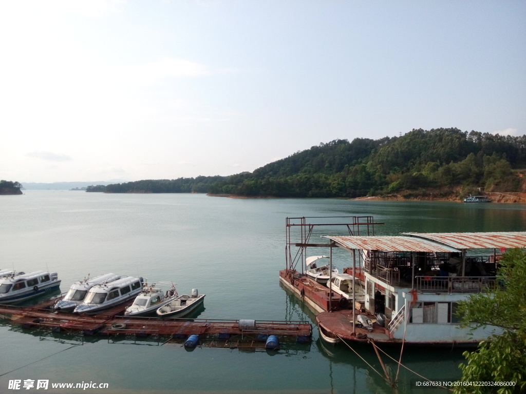 万绿湖风景