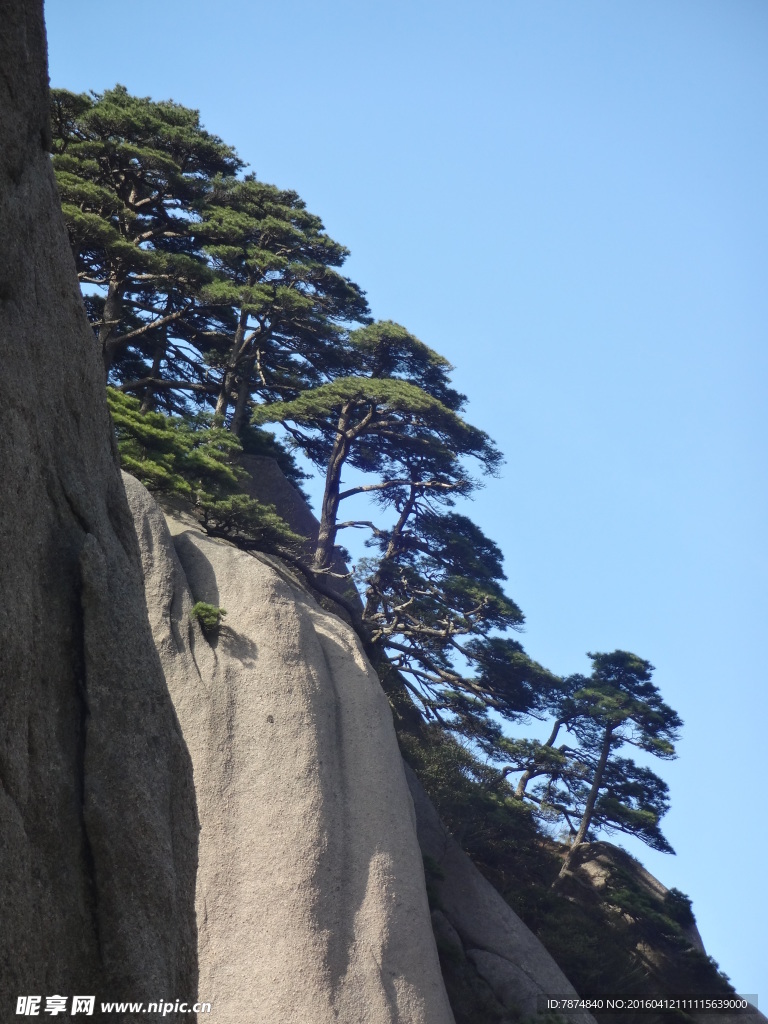 黄山风光