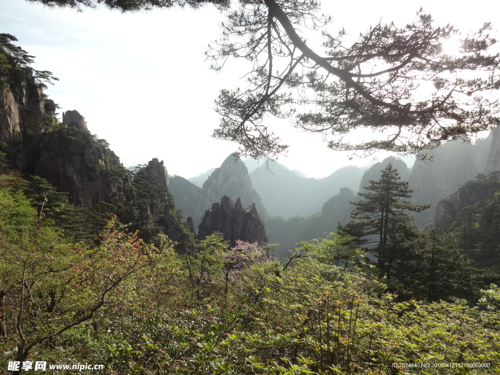 黄山风光