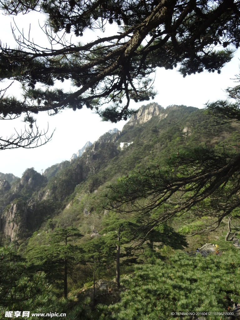 黄山风光