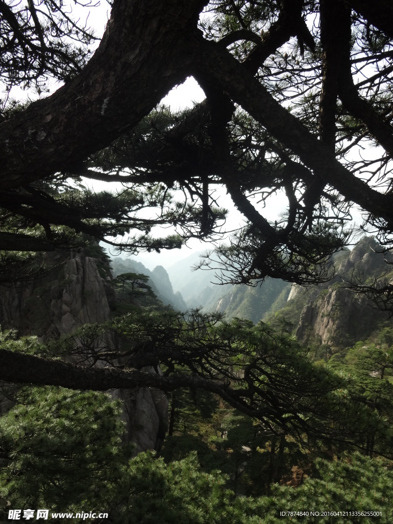 黄山风光