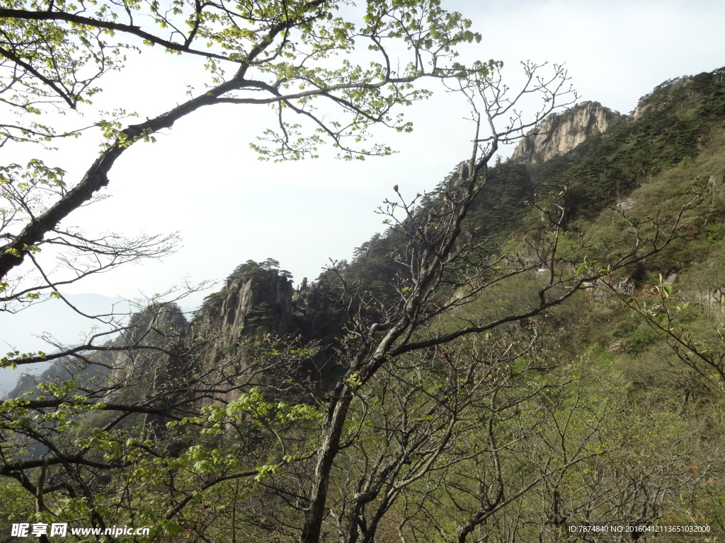 黄山风光