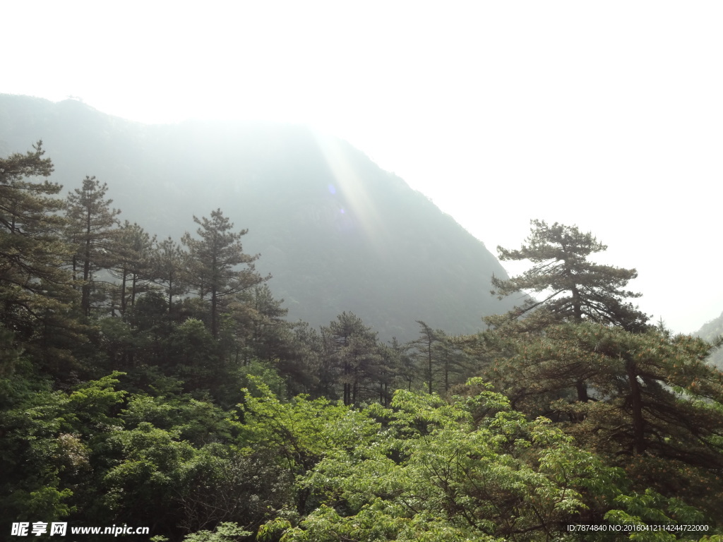 黄山风光