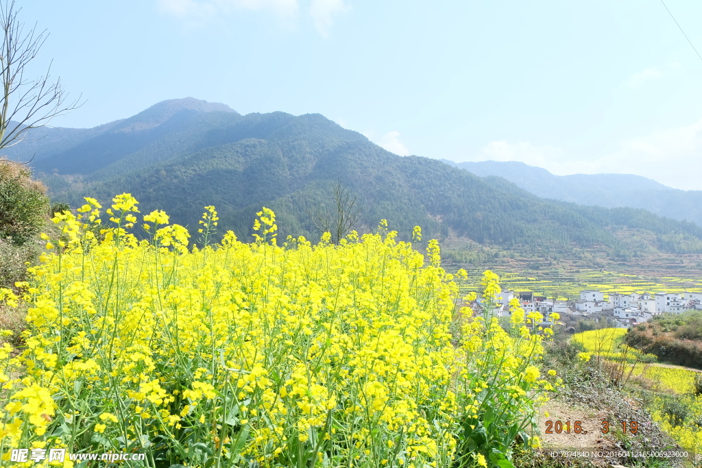 婺源风光