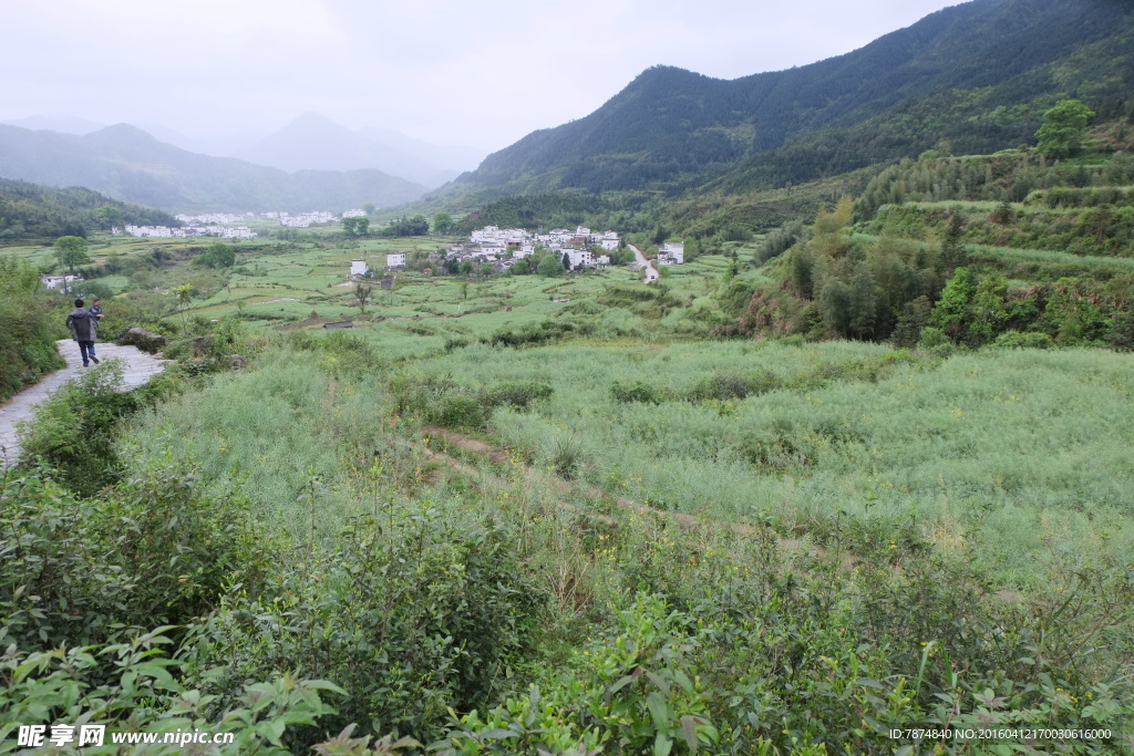 婺源风光