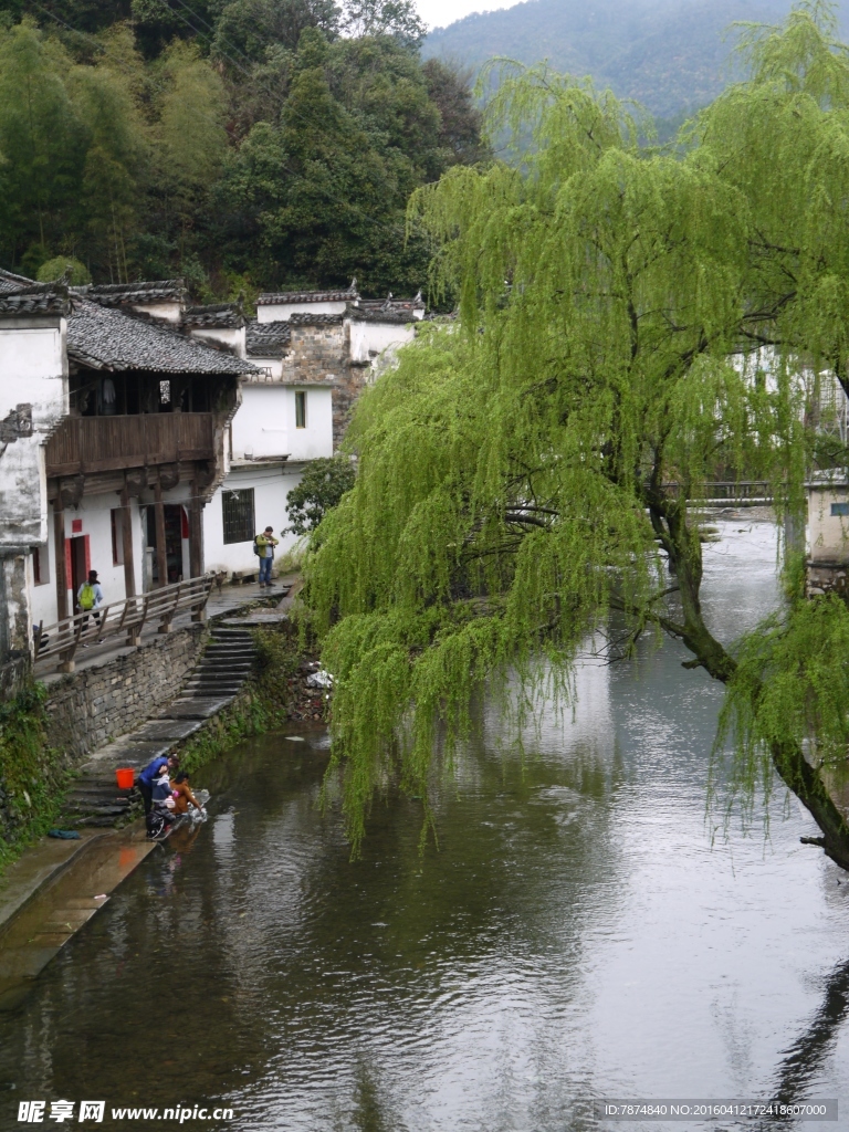 婺源风光