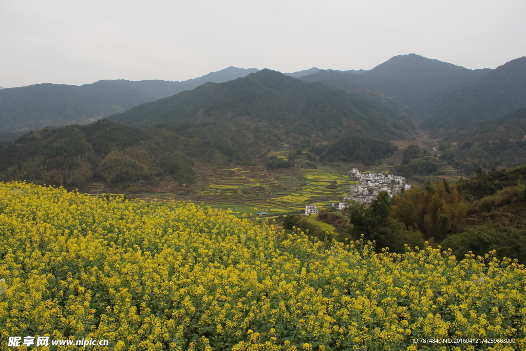 婺源风光