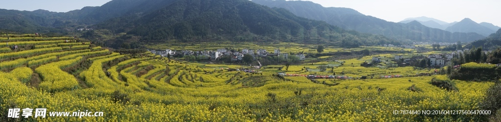 婺源风光