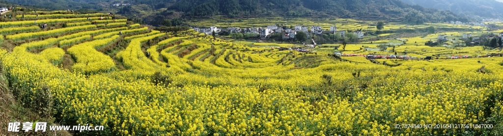婺源风光