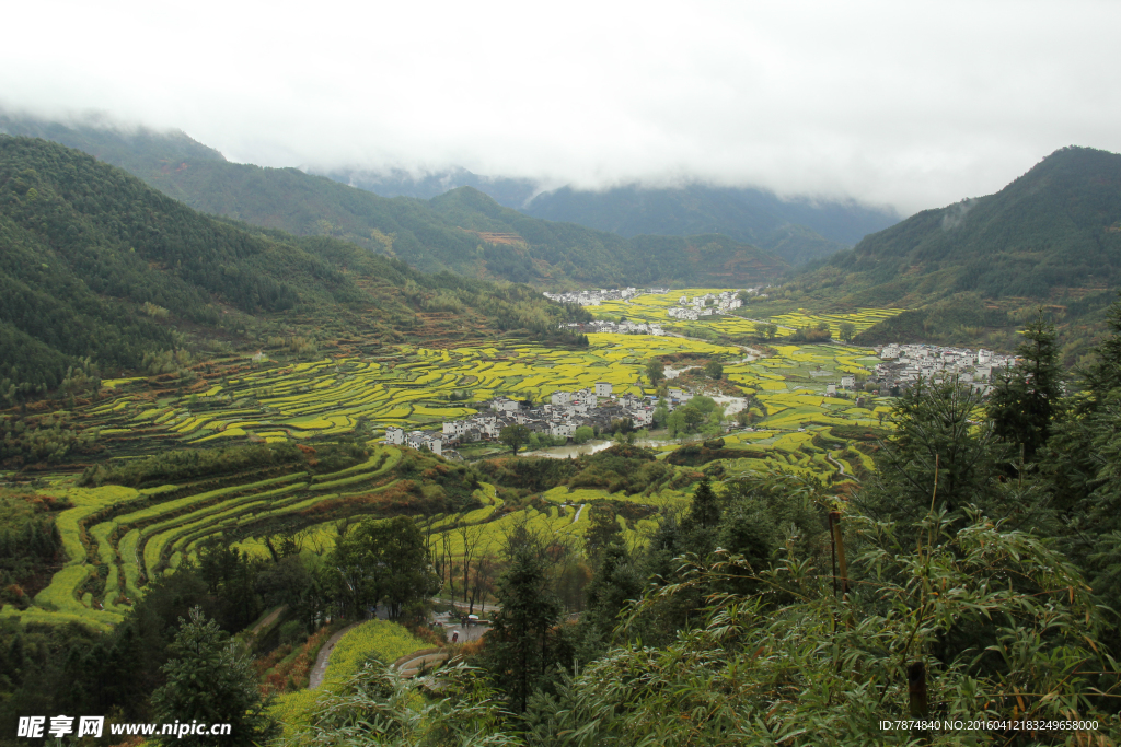 婺源风光