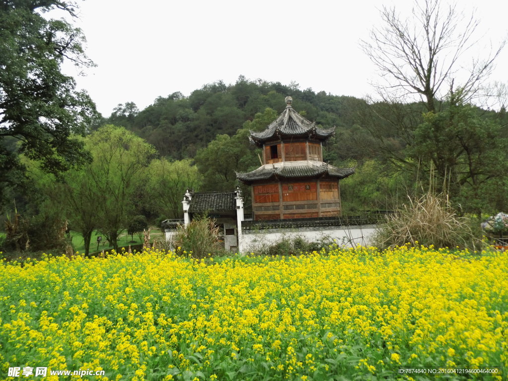 婺源风光