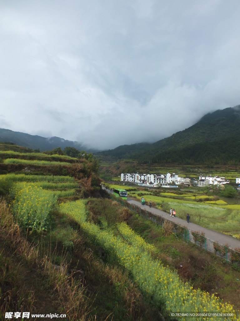 婺源风光