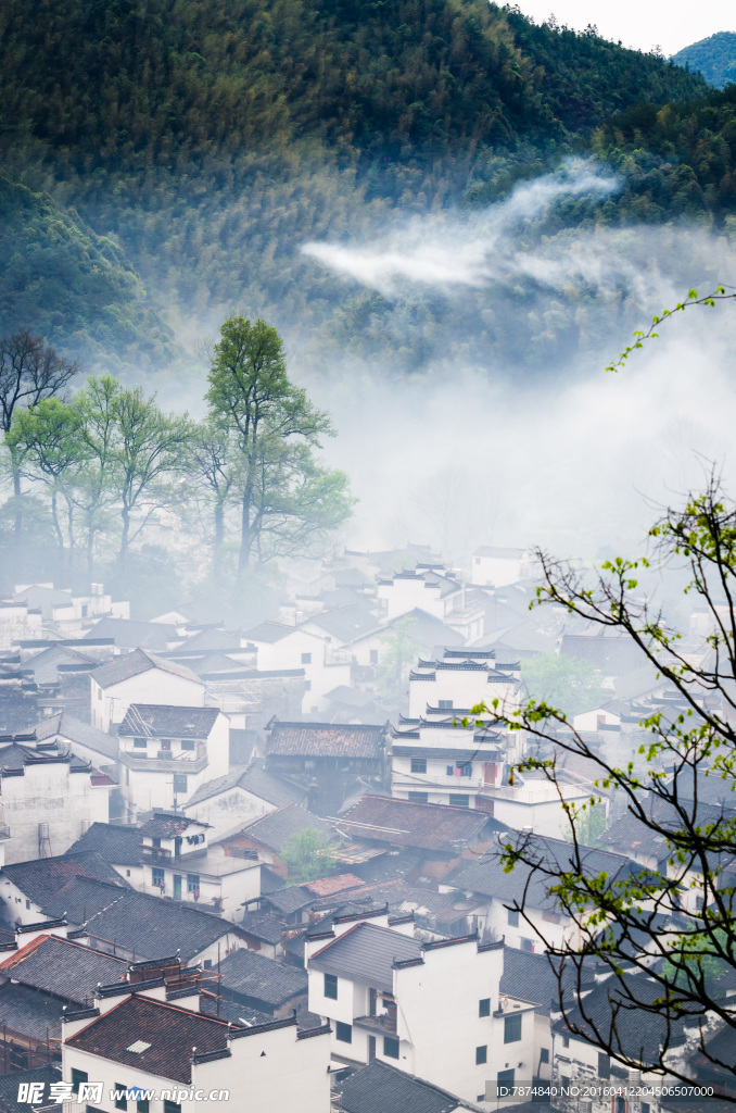 婺源风光