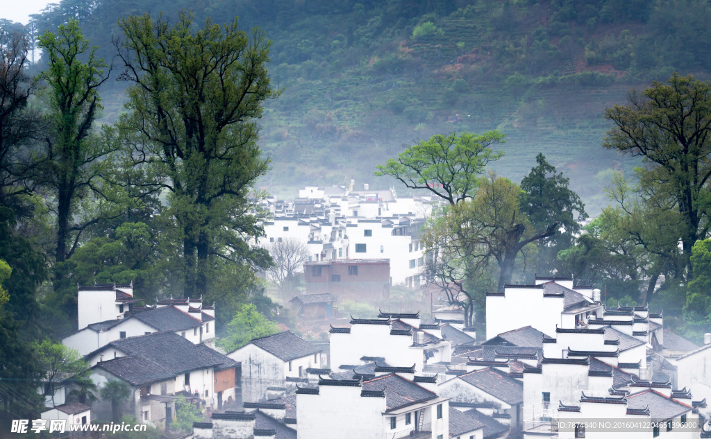 婺源风光