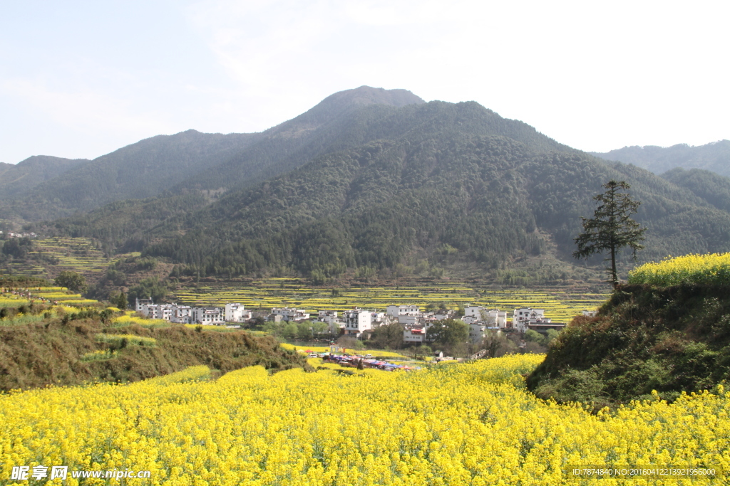 婺源风光
