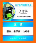 山鸡名片
