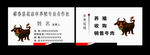 种牛名片