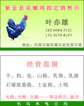 鸡子名片