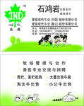 种牛养殖名片