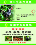 养鸡名片