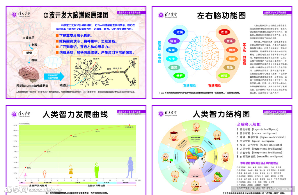 大脑矢量图