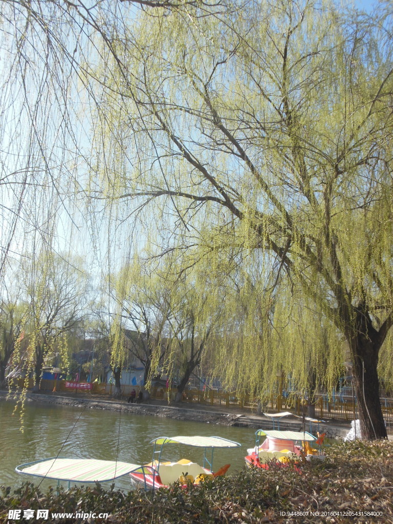 春天风景