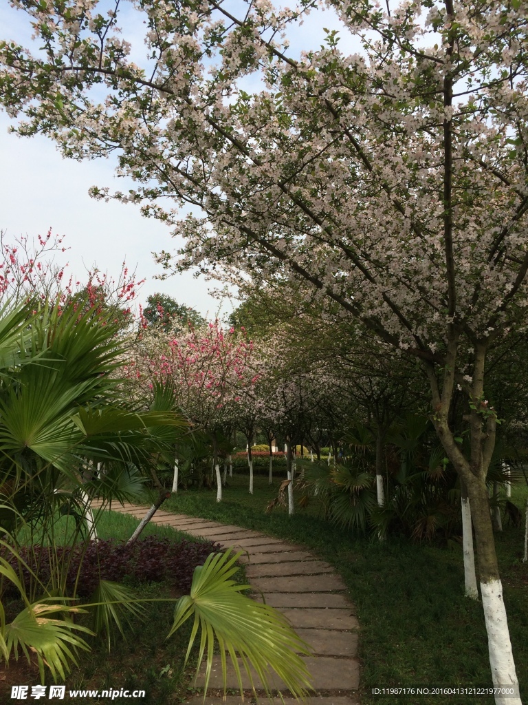 校院风景