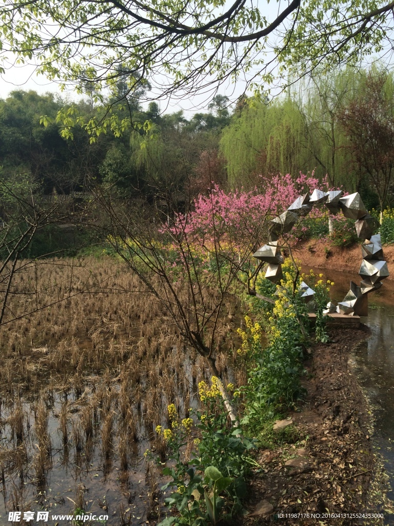 校院风景