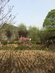 校院风景