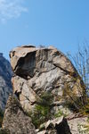 翠华山