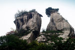 翠华山