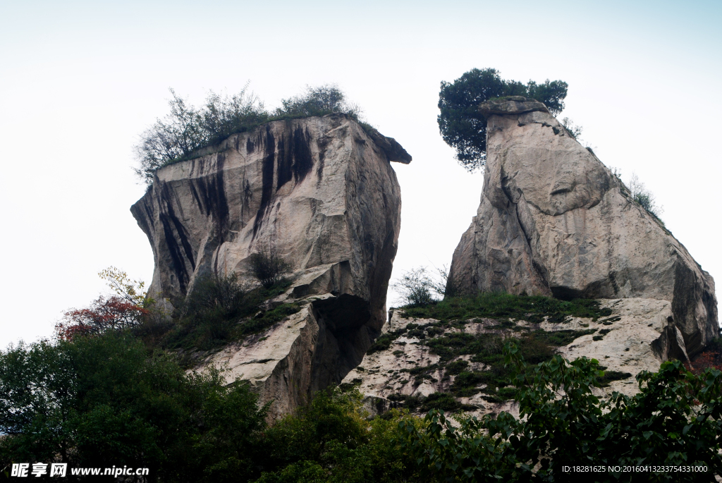 翠华山