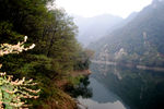 翠华山