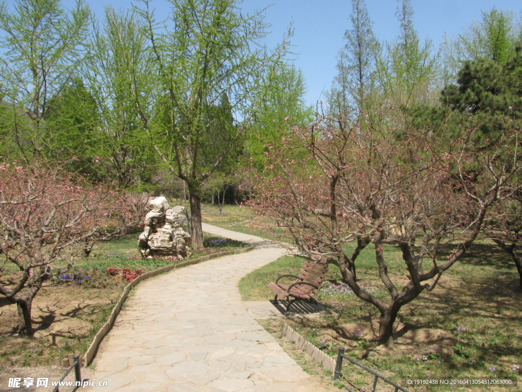 香山春景