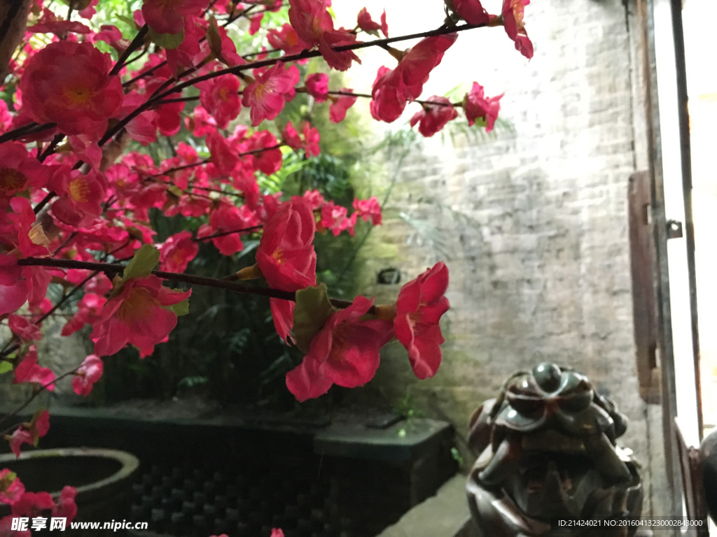 桂林桃花