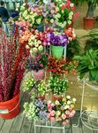 花卉市场