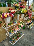 花卉市场