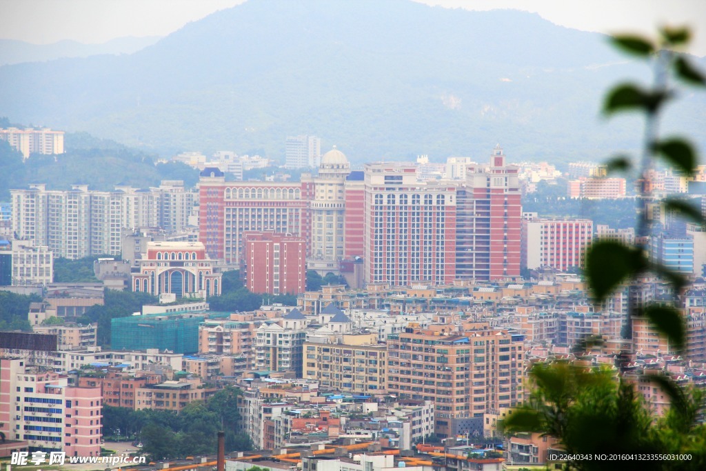 建筑全景