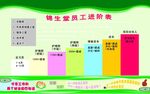 员工进阶表